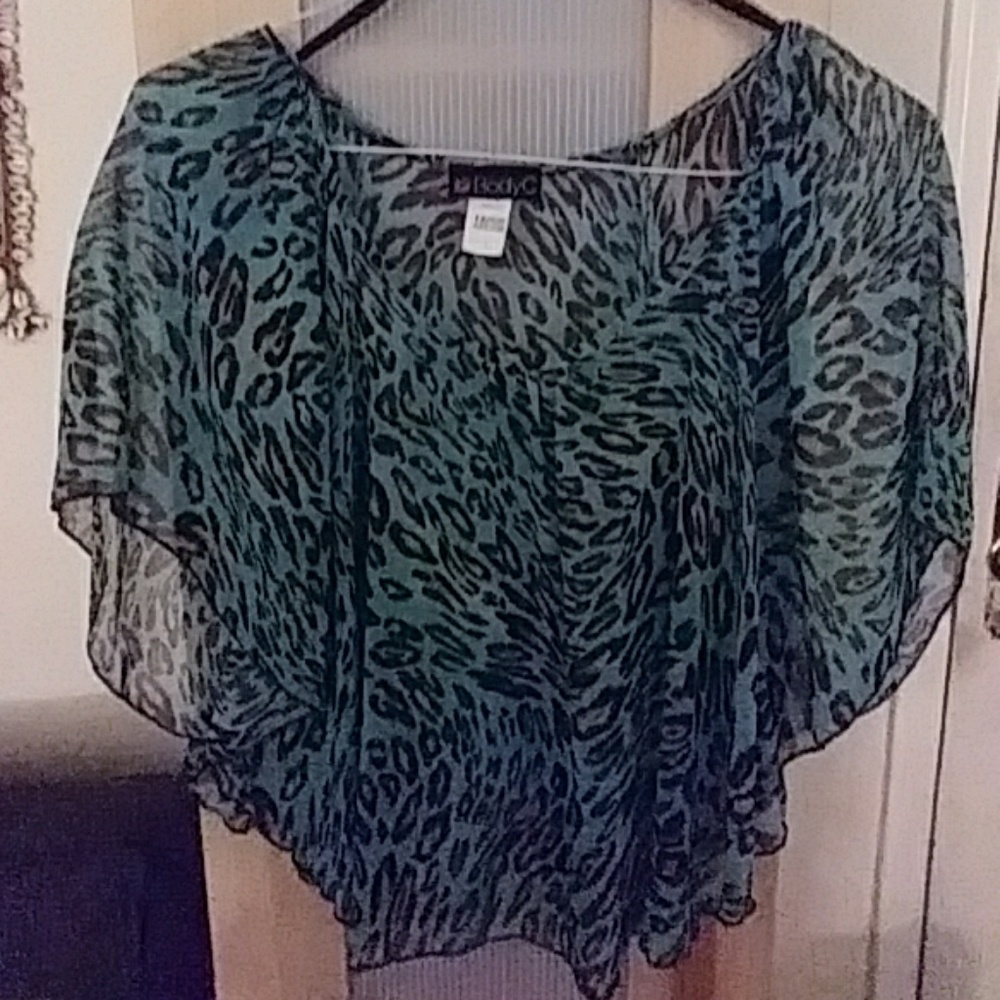 EUC sheer leopard print blouse